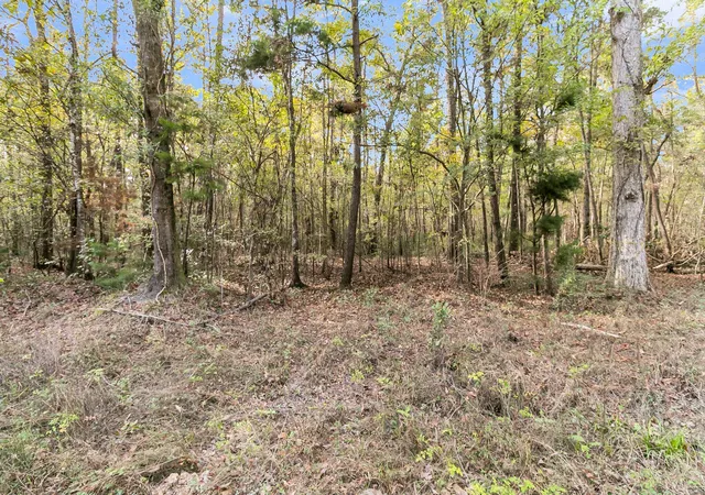 Photo 4 of Sale Pending at 107 Weir St, Summerville, SC 29483 | MLS# 26021838 | Listing updated on 2026-09-22