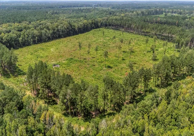 Photo 4 of Land for sale at 00 Summers Dr, Ridgeville, SC 29472 | MLS# 26011573 | Listing updated on 2026-04-28