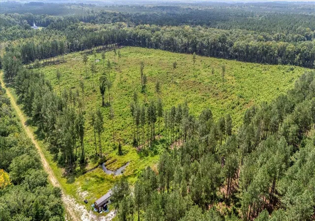 Photo 5 of Land for sale at 00 Summers Dr, Ridgeville, SC 29472 | MLS# 26011573 | Listing updated on 2026-04-28