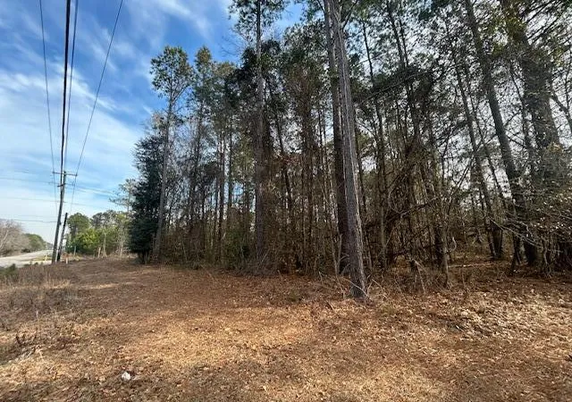 1st image of 4020 Jefferies Hwy, Walterboro, SC 29488 | MLS# 26021805