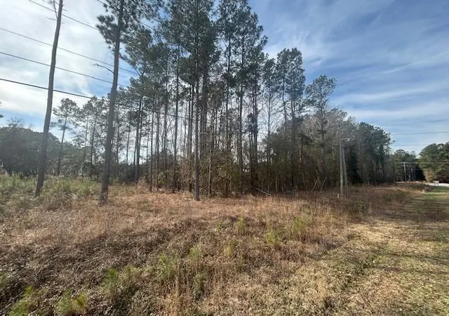 Photo 3 of Land for sale at 4020 Jefferies Hwy, Walterboro, SC 29488 | MLS# 26021805 | Listing updated on 2026-07-31
