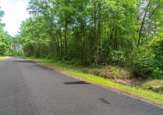 1st image of 00 Deneaux Rd, Rowesville, SC 29133 | MLS# 26014069