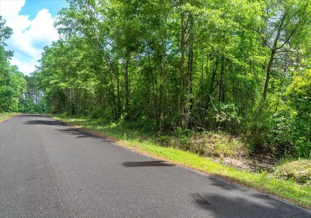 2nd image of 00 Deneaux Rd, Rowesville, SC 29133 | MLS# 26014069