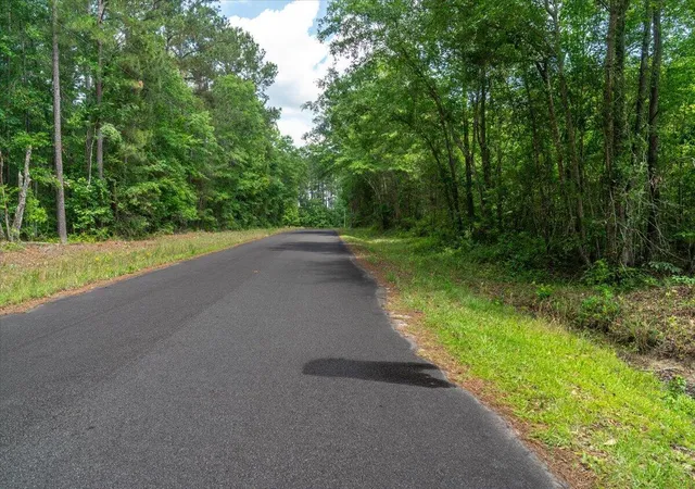 3rd image of 00 Deneaux Rd, Rowesville, SC 29133 | MLS# 26014069