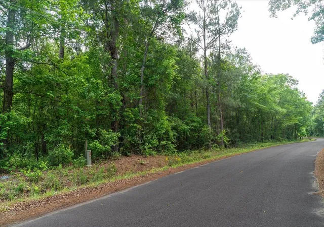 4th image of 00 Deneaux Rd, Rowesville, SC 29133 | MLS# 26014069