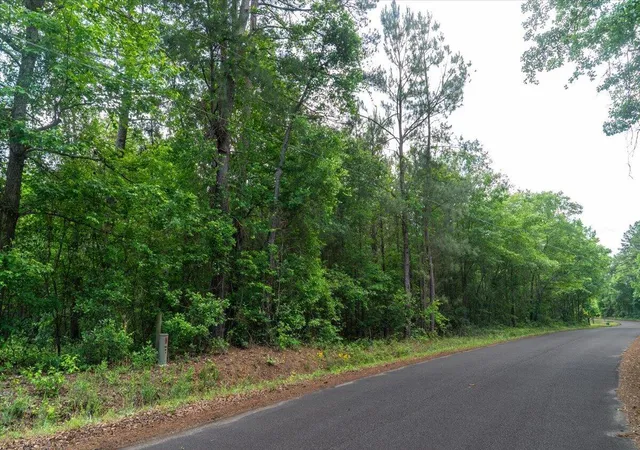 5th image of 00 Deneaux Rd, Rowesville, SC 29133 | MLS# 26014069