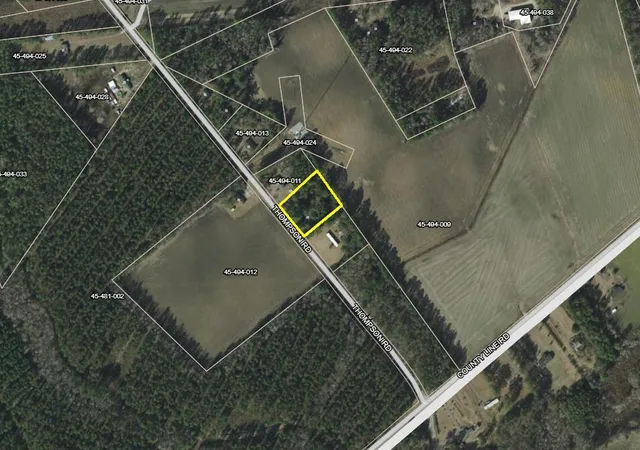 Homes for sale in Hemingway, SC | 80 Thompson Rd, Hemingway, SC 29554 | MLS# 25024687