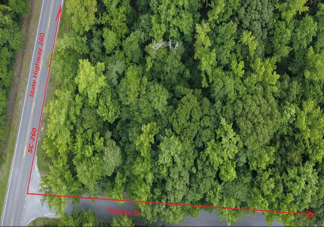 Photo 1 of Land for sale at 0 Haseldon Dr, Manning, SC 29102 | MLS# 26018939 | Listing updated on 2026-08-24