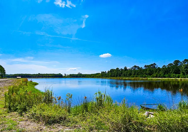 Photo 1 of Land for sale at 565 Hidden Lake Retreat, Walterboro, SC 29488 | MLS# 24019102 | Listing updated on 2026-08-04