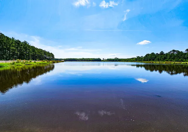Photo 2 of Land for sale at 565 Hidden Lake Retreat, Walterboro, SC 29488 | MLS# 24019102 | Listing updated on 2026-08-04