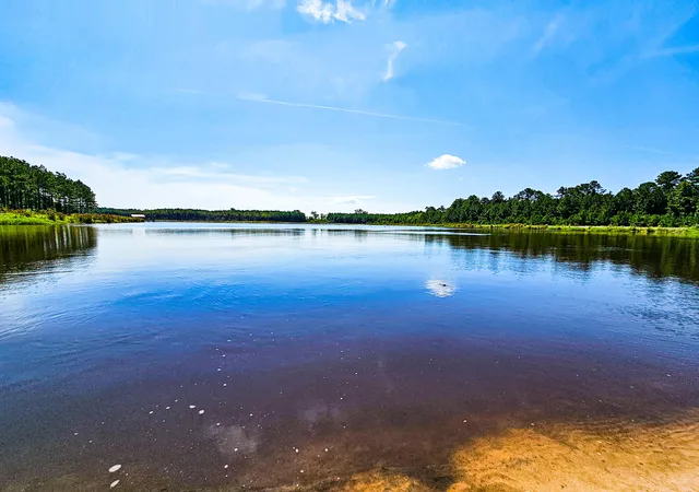 Photo 3 of Land for sale at 565 Hidden Lake Retreat, Walterboro, SC 29488 | MLS# 24019102 | Listing updated on 2026-08-04