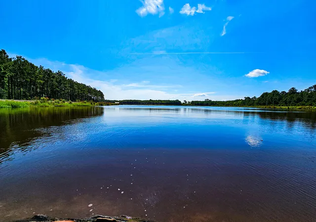Photo 3 of Land for sale at 565 Hidden Lake Retreat, Walterboro, SC 29488 | MLS# 24019102 | Listing updated on 2026-08-04
