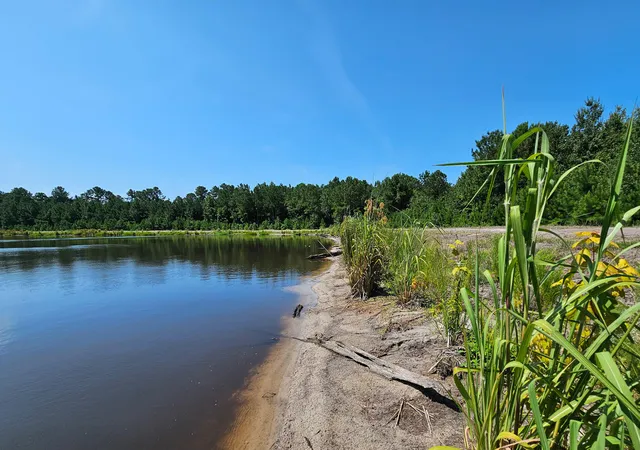 Photo 4 of Land for sale at 565 Hidden Lake Retreat, Walterboro, SC 29488 | MLS# 24019102 | Listing updated on 2026-08-04