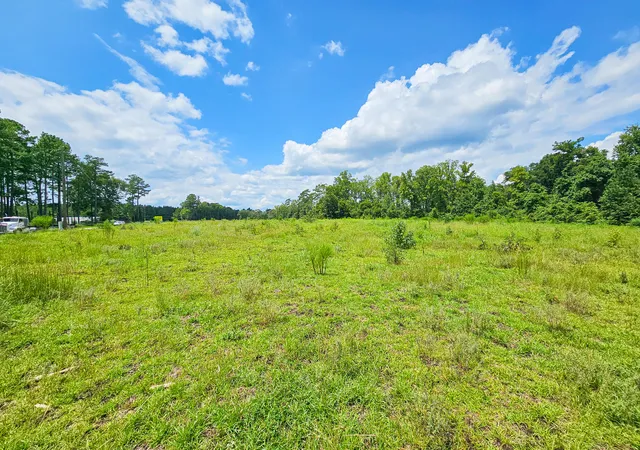 1st image of 0 Bells Hwy & Jones Swamp Hwy, Walterboro, SC 29488 | MLS# 24020564