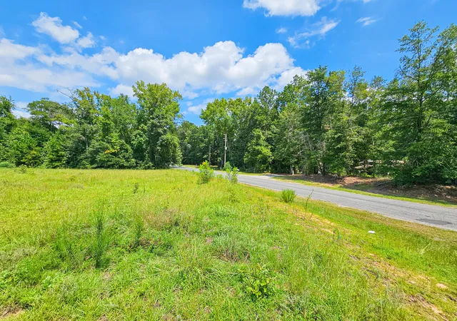 Photo 3 of Land for sale at 0 Bells Hwy & Jones Swamp Hwy, Walterboro, SC 29488 | MLS# 24020564 | Listing updated on 2026-08-14