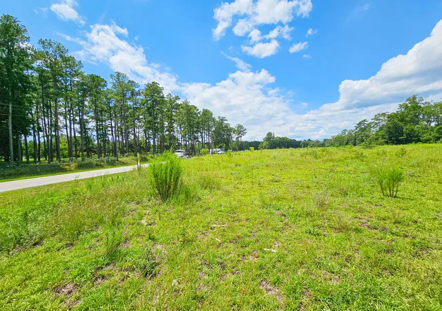 Photo 3 of Land for sale at 0 Bells Hwy & Jones Swamp Hwy, Walterboro, SC 29488 | MLS# 24020564 | Listing updated on 2026-08-14
