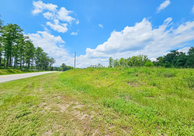 Photo 4 of Land for sale at 0 Bells Hwy & Jones Swamp Hwy, Walterboro, SC 29488 | MLS# 24020564 | Listing updated on 2026-08-14
