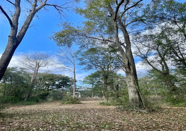 Photo 2 of Land for sale at 1962 Bradham Rd, Charleston, SC 29412 | MLS# 25030723 | Listing updated on 2026-08-06