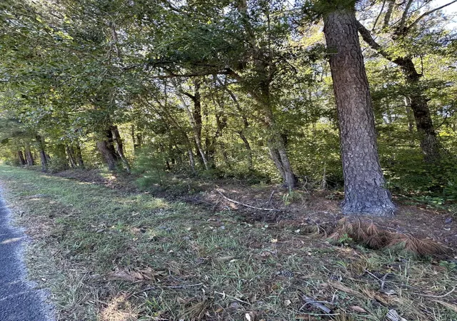 Photo 2 of Land for sale at 126 Old Still Ln, Bonneau, SC 29431 | MLS# 24027483 | Listing updated on 2025-09-18