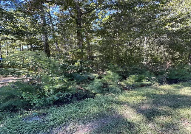 Photo 3 of Land for sale at 126 Old Still Ln, Bonneau, SC 29431 | MLS# 24027483 | Listing updated on 2025-09-18