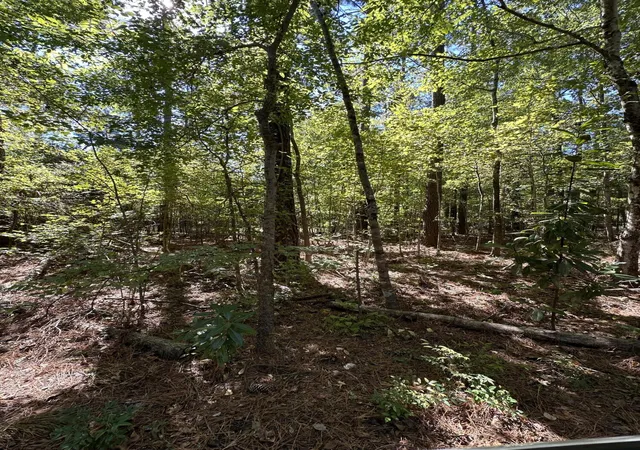Photo 3 of Land for sale at 126 Old Still Ln, Bonneau, SC 29431 | MLS# 24027483 | Listing updated on 2025-09-18