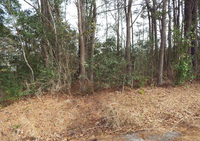 Photo 1 of Land for sale at 0 Dennis Dr #25, Goose Creek, SC 29445 | MLS# 24005154 | Listing updated on 2024-08-22