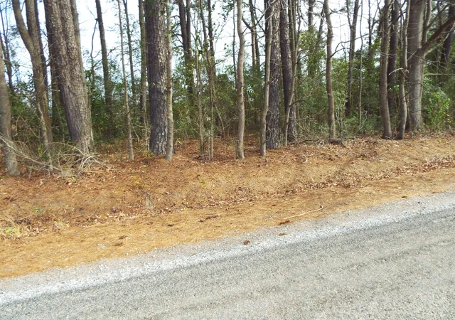 Photo 2 of Land for sale at 0 Dennis Dr #25, Goose Creek, SC 29445 | MLS# 24005154 | Listing updated on 2024-08-22