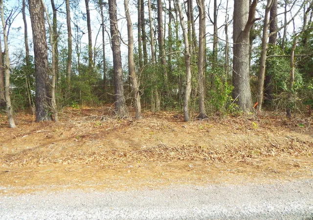 Photo 3 of Land for sale at 0 Dennis Dr #25, Goose Creek, SC 29445 | MLS# 24005154 | Listing updated on 2024-08-22