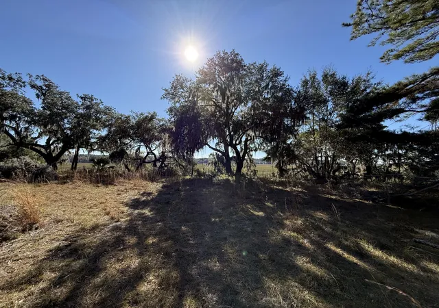 Photo 3 of Land for sale at 8341 Crooked Crk Ln, Edisto Island, SC 29438 | MLS# 24030419 | Listing updated on 2025-06-14