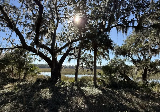 Photo 3 of Land for sale at 8341 Crooked Crk Ln, Edisto Island, SC 29438 | MLS# 24030419 | Listing updated on 2025-06-14