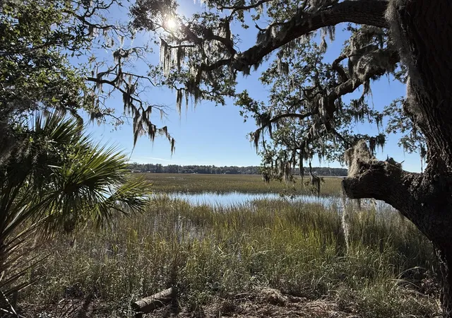 Photo 4 of Land for sale at 8341 Crooked Crk Ln, Edisto Island, SC 29438 | MLS# 24030419 | Listing updated on 2025-06-14