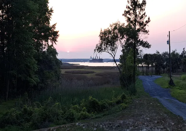 Photo 1 of Land for sale at 8 Yellow House Rd, Charleston, SC 29492 | MLS# 26012038 | Listing updated on 2026-07-07