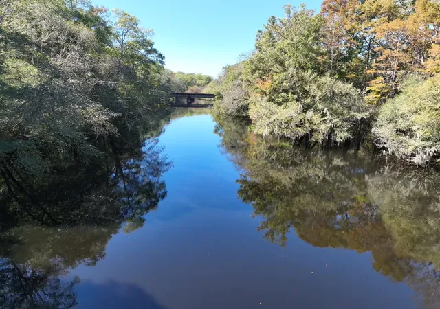Photo 1 of Land for sale at Tbd Martin Luther King Junior Ave, Kingstree, SC 29556 | MLS# 26020923 | Listing updated on 2026-07-22