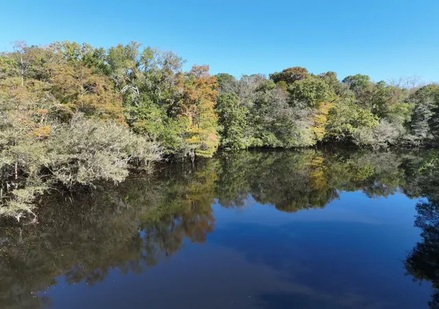 Photo 2 of Land for sale at Tbd Martin Luther King Junior Ave, Kingstree, SC 29556 | MLS# 26020923 | Listing updated on 2026-07-22