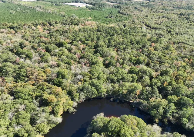 Photo 3 of Land for sale at Tbd Martin Luther King Junior Ave, Kingstree, SC 29556 | MLS# 26020923 | Listing updated on 2026-07-22