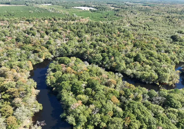 Photo 3 of Land for sale at Tbd Martin Luther King Junior Ave, Kingstree, SC 29556 | MLS# 26020923 | Listing updated on 2026-07-22