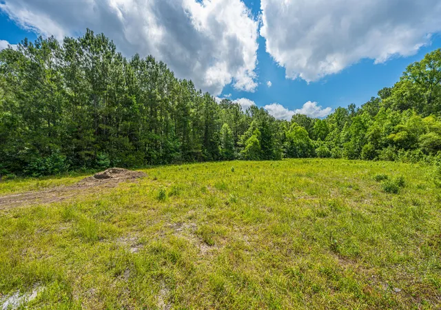 Photo 3 of Land for sale at 00 Kitfield Rd, Moncks Corner, SC 29461 | MLS# 26014908 | Listing updated on 2026-08-09