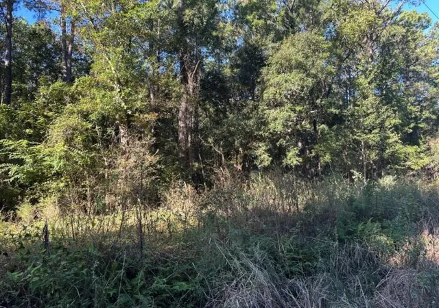 Photo 2 of Land for sale at 00 Joyner Ln, Charleston, SC 29492 | MLS# 26016570 | Listing updated on 2026-06-07