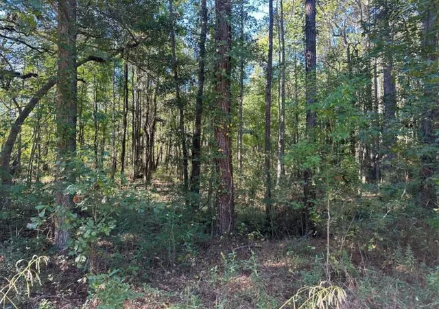 Photo 3 of Land for sale at 00 Joyner Ln, Charleston, SC 29492 | MLS# 26016570 | Listing updated on 2026-06-07