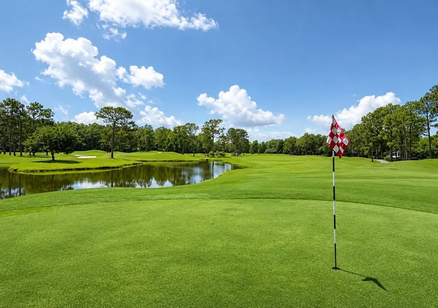 43rd image of 2505 Hummingbird Ln, Summerville, SC 29483 | MLS# 26023112