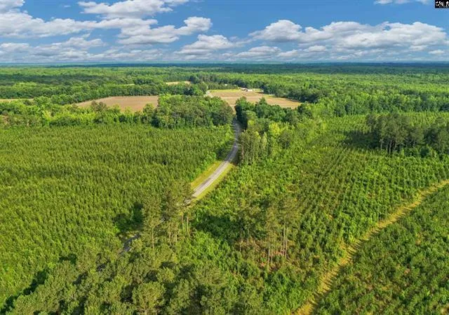 Photo 1 of Land for sale at 5120 N Brewington Rd #10, Manning, SC 29102 | MLS# 26015609 | Listing updated on 2026-05-29