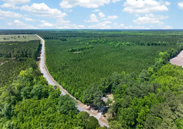 Photo 2 of Land for sale at 5120 N Brewington Rd #10, Manning, SC 29102 | MLS# 26015609 | Listing updated on 2026-05-29