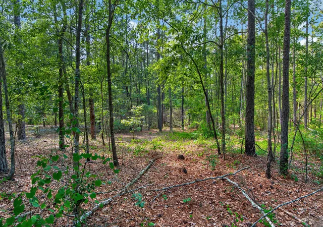 Photo 3 of Land for sale at 5120 N Brewington Rd #10, Manning, SC 29102 | MLS# 26015609 | Listing updated on 2026-05-29