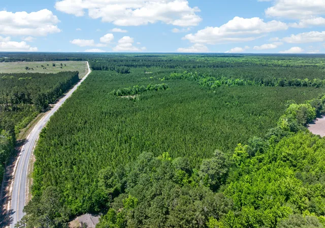 Photo 40 of Land for sale at 5120 N Brewington Rd #10, Manning, SC 29102 | MLS# 26015609 | Listing updated on 2026-05-29