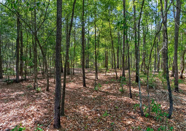 Photo 4 of Land for sale at 5120 N Brewington Rd #10, Manning, SC 29102 | MLS# 26015609 | Listing updated on 2026-05-29
