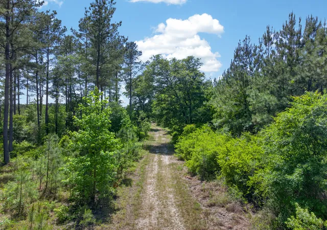 Photo 5 of Land for sale at 5120 N Brewington Rd #10, Manning, SC 29102 | MLS# 26015609 | Listing updated on 2026-05-29