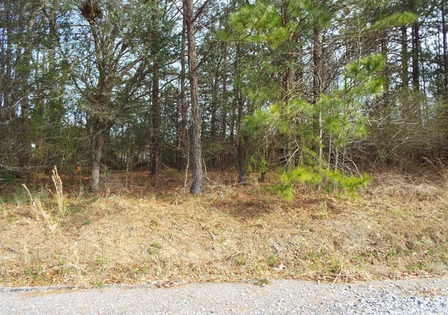 Photo 1 of Land for sale at 0 Dennis Dr #27, Goose Creek, SC 29445 | MLS# 24005159 | Listing updated on 2024-08-22