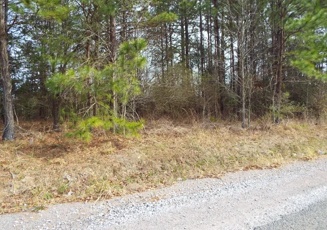 Photo 2 of Land for sale at 0 Dennis Dr #27, Goose Creek, SC 29445 | MLS# 24005159 | Listing updated on 2024-08-22