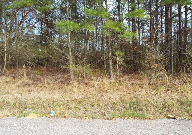 Photo 3 of Land for sale at 0 Dennis Dr #27, Goose Creek, SC 29445 | MLS# 24005159 | Listing updated on 2024-08-22