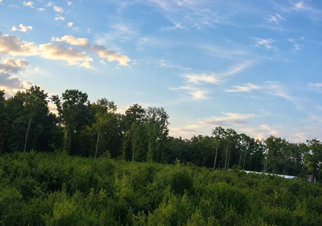 Photo 3 of Land for sale at 00 Whitesville Rd, Moncks Corner, SC 29461 | MLS# 26021353 | Listing updated on 2026-08-04
